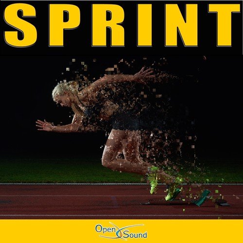 Sprint - 1