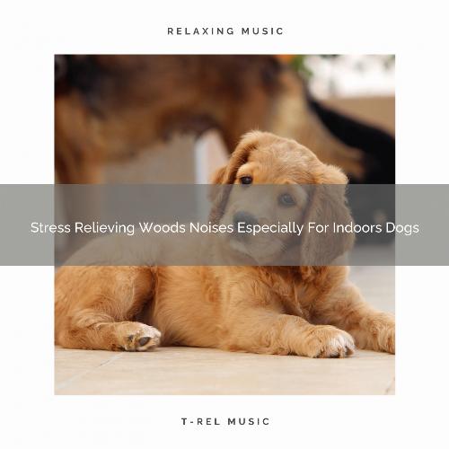 Stress Relieving Woods Noises Especially For Indoors Dogs