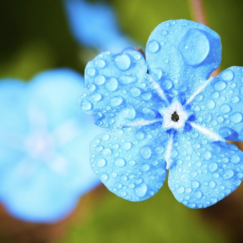 The Beauty of Nature: Mountain Rain Spectacle