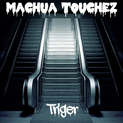 Triger cover art