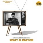 Wait &amp; Watch