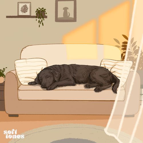 sleeping ollie