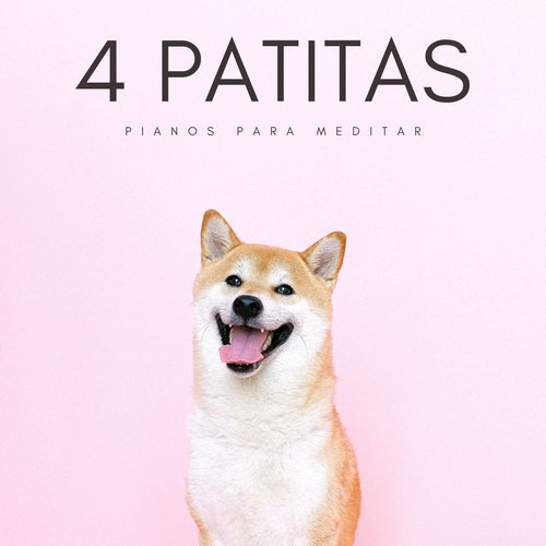 Música Para Dormir Mucho cover art