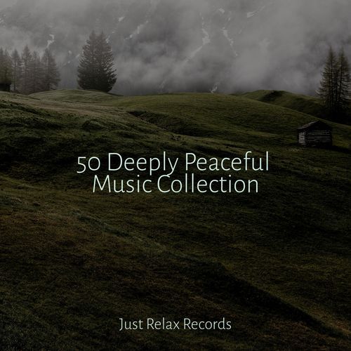 50 Deeply Peaceful Music Collection