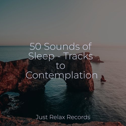 50 Sounds of Sleep - Tracks to Contemplation