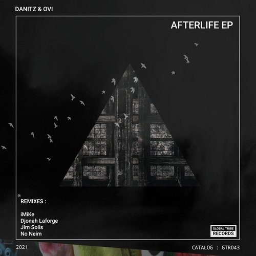 Afterlife (No Neim Remix) cover art