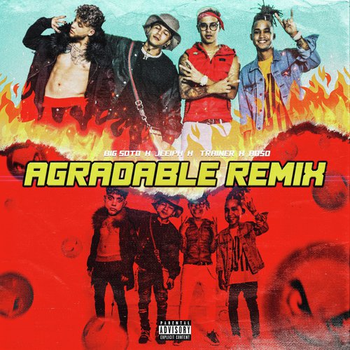 Agradable (feat. Trainer) (Remix)