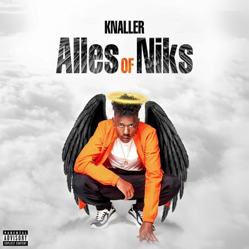 Alles Of Niks_poster_image