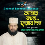 Amar Jokhon Furabe Din