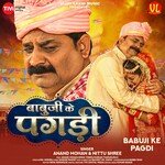 Babuji Ke Pagdi artwork