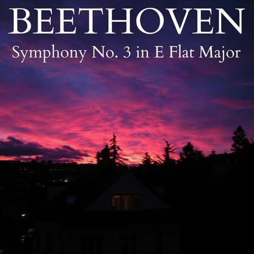 Symphony No. 3 in E Flat Major, Op. 55: Allegro Assai (Part 1)