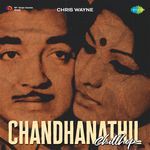 Chandhanathil - Chillhop