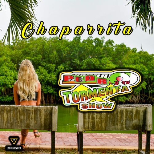Te Lavaste La Cara Y El Mono No cover art