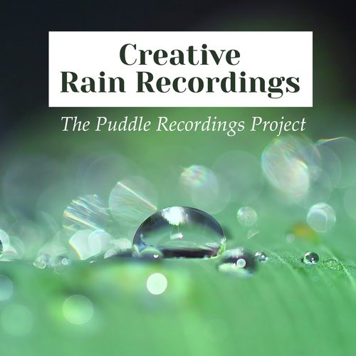 Autumn Rain cover art