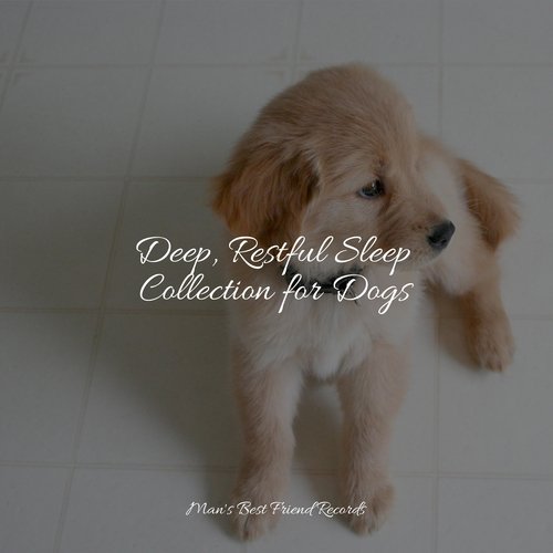 Evening Calm cover art