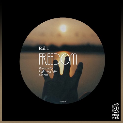 Freedom (Nbwest Remix) cover art