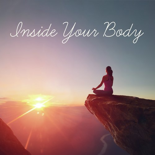 Inside Your Body