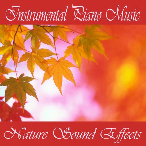 Instrumental Piano Music - Nature Sound Effects_poster_image