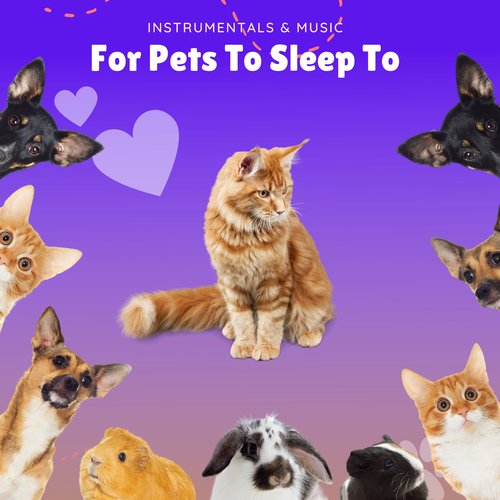 Instrumentals & Music For Pets To Sleep To_poster_image