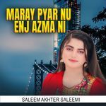 Maray Pyar Nu Enj Azma Ni