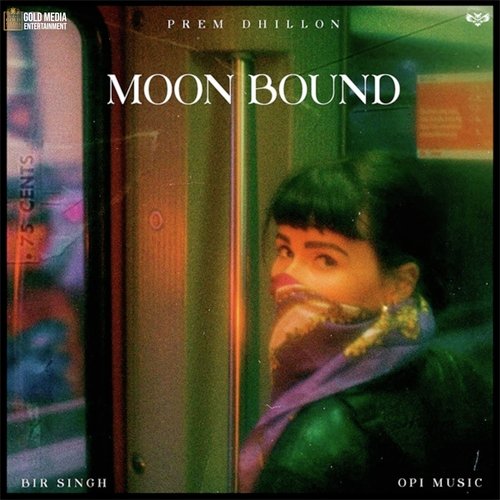 Moon Bound_poster_image