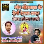 Mor Gondwana Ke Devi Devta Sadar Seva Johar Lage