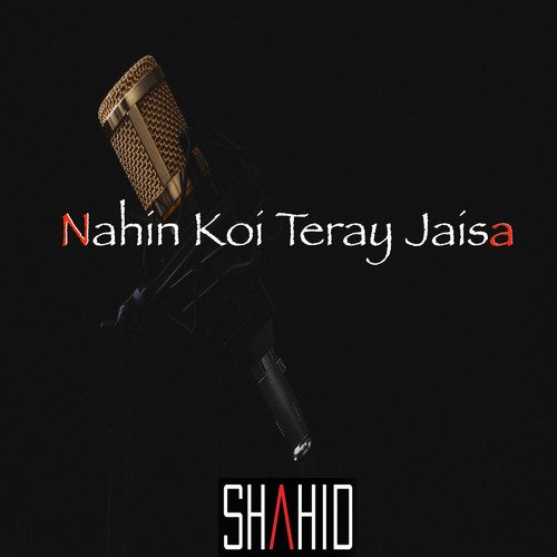Nahin Koi Teray Jaisa