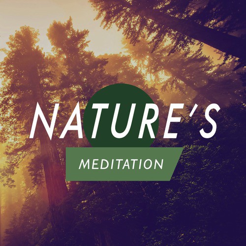 Nature's Meditation