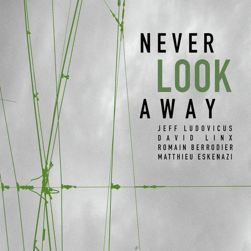 Never Look Away_poster_image