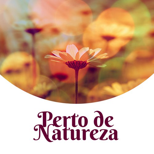 Relaxamento e Meditação cover art