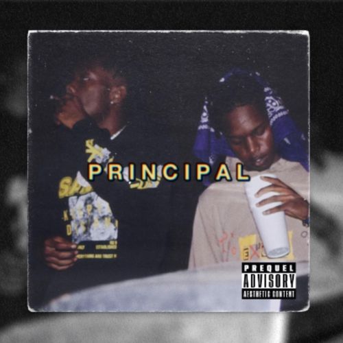 Principal cover art