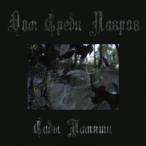 Локоны cover art