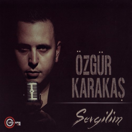 Hoşgeldin cover art