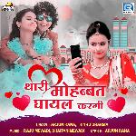 Thari Mohabbat Ghayal Kargi