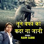 Tune Wafa Ki Kadar Na Jani