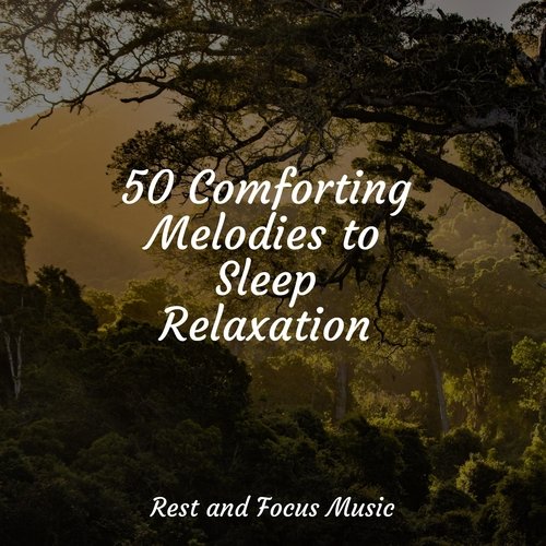 50 Comforting Melodies to Sleep Relaxation