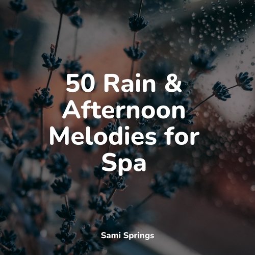 50 Rain &amp; Afternoon Melodies for Spa_poster_image