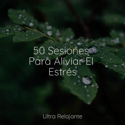 50 Sesiones Para Aliviar El Estrés_poster_image