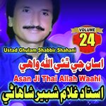 Asan Ji Thai Allah Waahi, Vol. 24