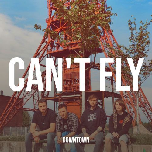 Can't Fly_poster_image