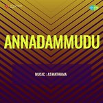 Chebite Cheppaleni (From "Annadammudu")