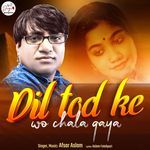 Dil Tod Ke Wo Chala Gaya