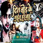 Dil Tor Ke Gailu Harjai