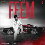 FEEM