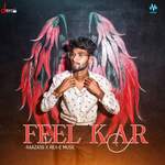 Feel Kar