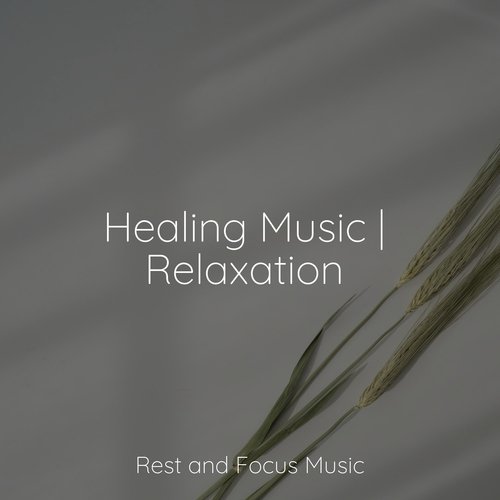 Healing Music | Relaxation