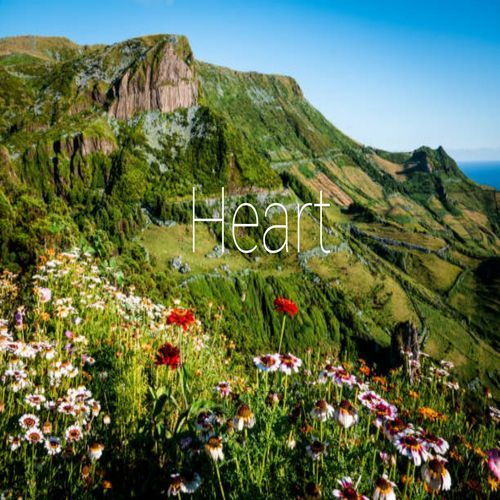 Heart