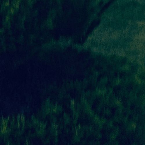 Jess cover art