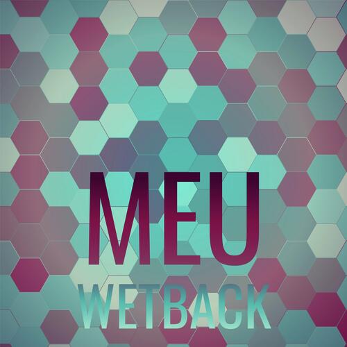 Meu Wetback