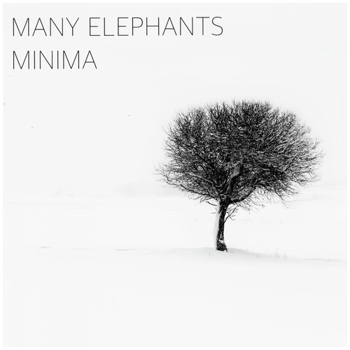 Wise cover art